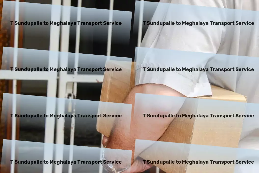 T Sundupalle to Meghalaya Courier And Parcel Supply chain management