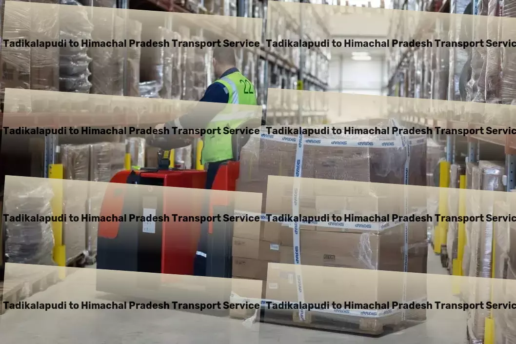 Tadikalapudi to Himachal Pradesh Transport Professional goods transport